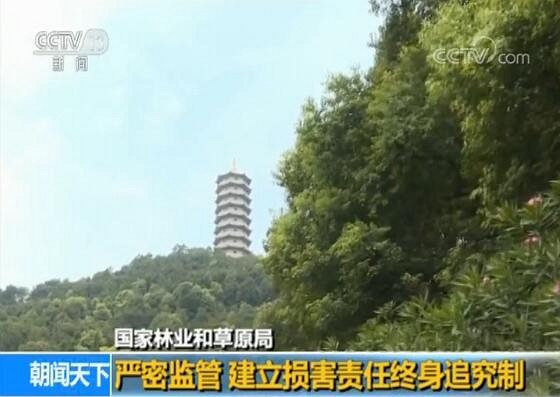 國(guó)家林業和草(cǎo)原局：升級天然林保護 守住綠水青山(shān)
