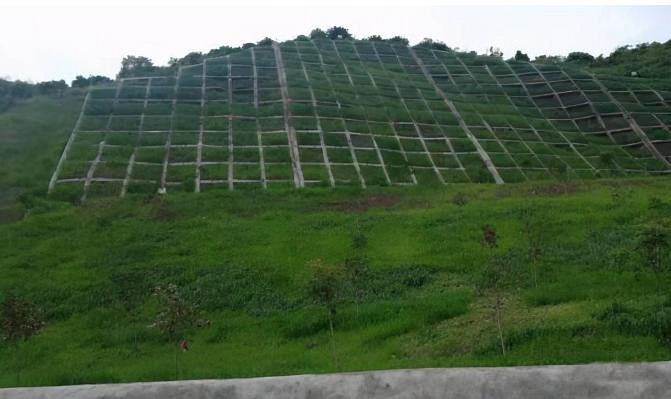 重慶忠縣14個廢棄露天礦山(shān)實現生态修複