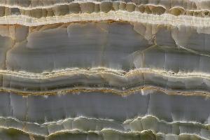 竹節玉