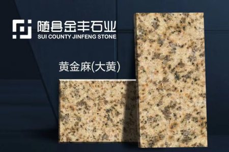 黃金麻大黃