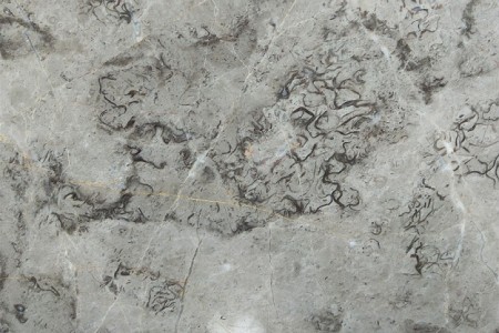 尼泊爾灰
