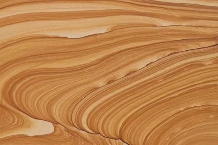 黃木(mù)紋砂岩