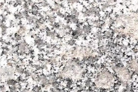 大連珍珠花(huā)
