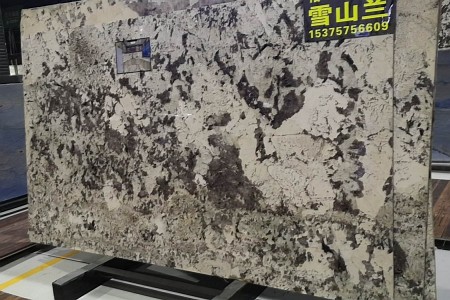 雪(xuě)山(shān)蘭大闆