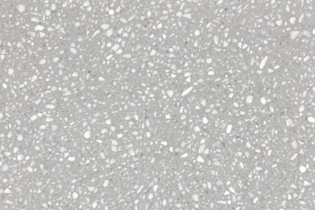 晨雪(xuě)灰
