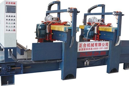 ZHLZM-Q4-900 全自動荔枝面機