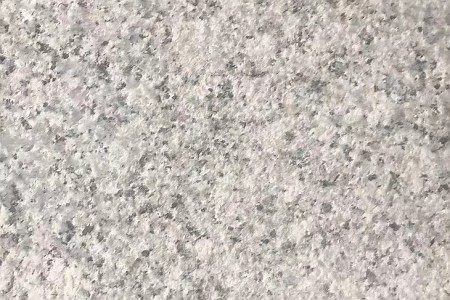 廣西芝麻灰荔枝面