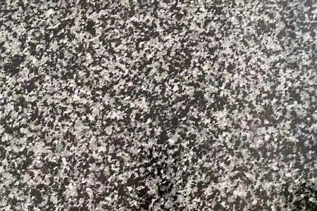 江西芝麻黑