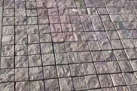 芝麻黑彈石馬蹄石