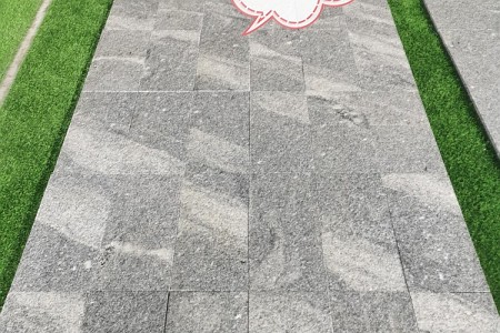 大白稍花(huā)(濕)