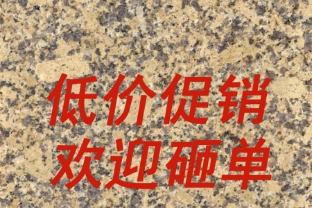 江西卡麥新(xīn)卡麥海地金鑽菊花(huā)黃金卡麥黃金麻