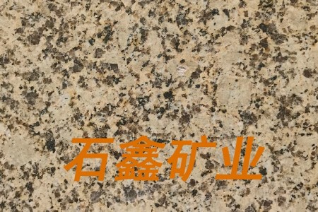 淺黃光面菊花(huā)黃江西卡麥