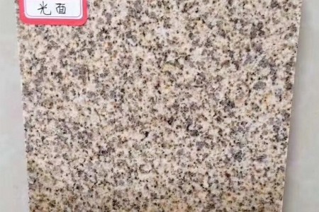 黃金麻大黃
