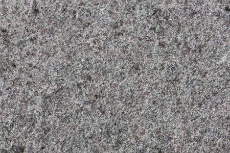 蝴蝶蘭噴砂面