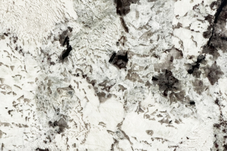 雪(xuě)山(shān)蘭細節