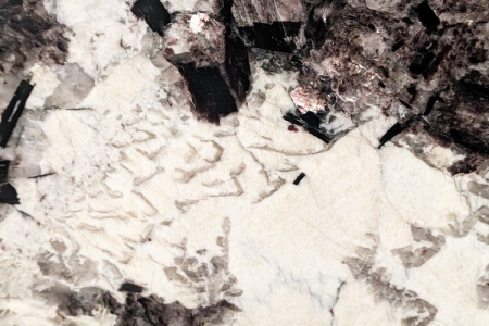 雪(xuě)山(shān)蘭細節