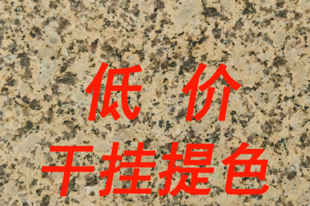 大黃新(xīn)卡麥菊花(huā)黃金卡麥
